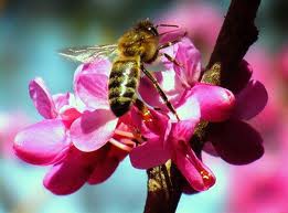 Подробнее о статье Заочное голосование