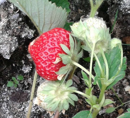 Подробнее о статье Общее собрание состоялось.