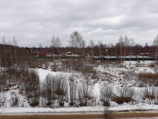 55649731_2453891051506717_7294275982523891712_o