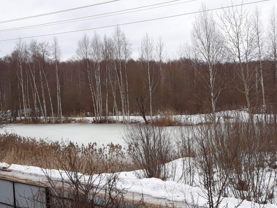 56437481_2453889761506846_6815912223131566080_o