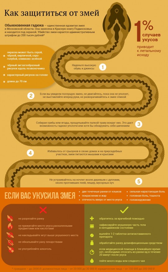 Как защититься от змей.