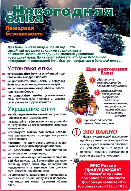 Подробнее о статье Новогодняя ёлка и безопасность