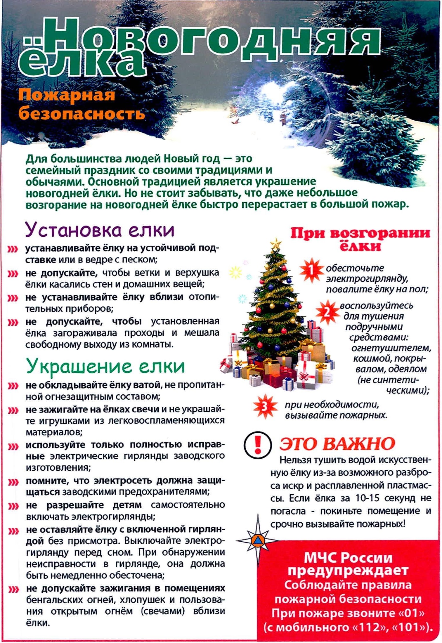 Подробнее о статье Новогодняя ёлка и безопасность