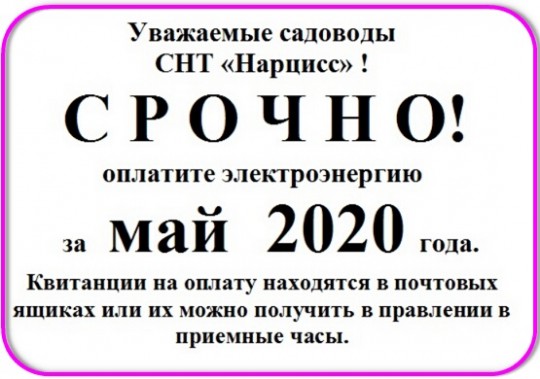 ElEn20200705