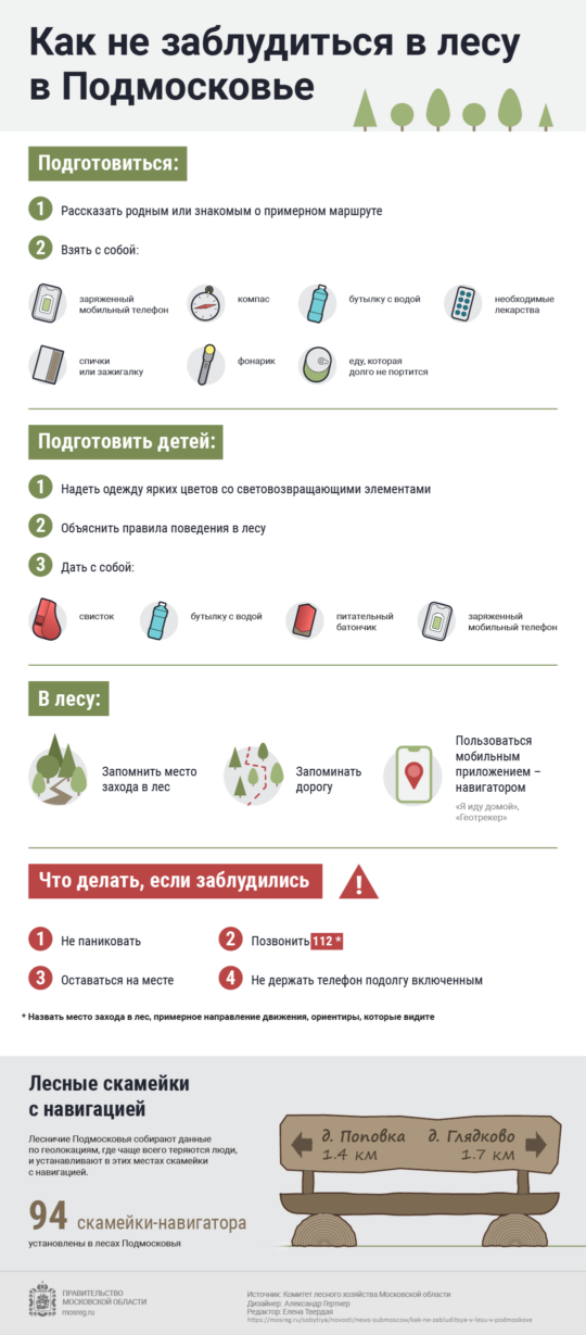 Подробнее о статье Как не заблудиться в лесу в Подмосковье