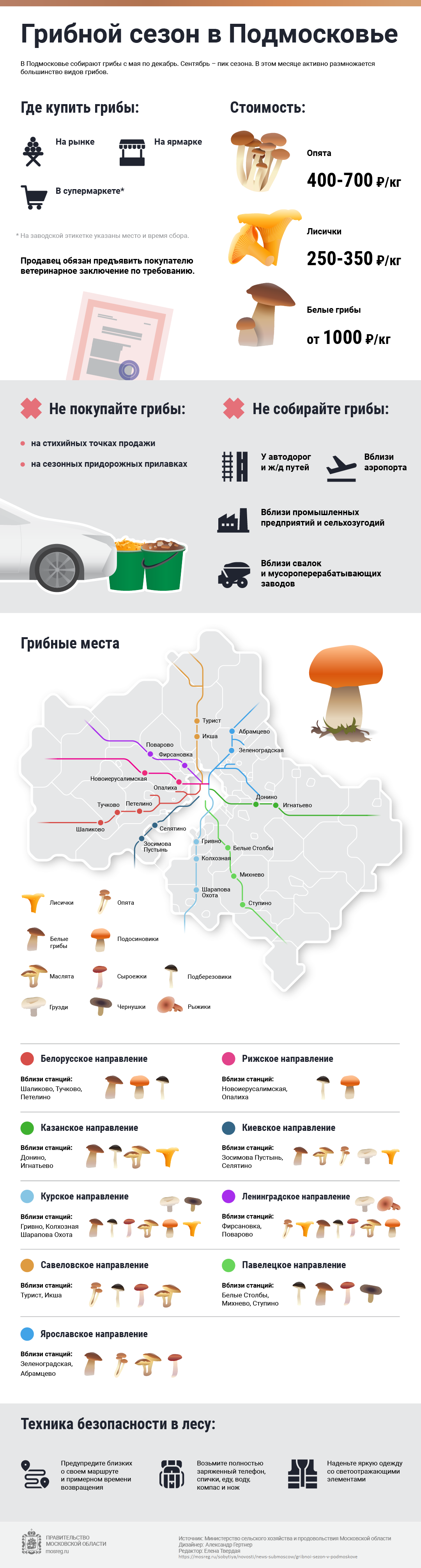 Подробнее о статье Грибной сезон в Подмосковье