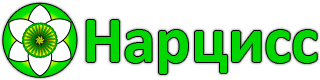 СНТ Нарцисс. Талдомский район Московской области